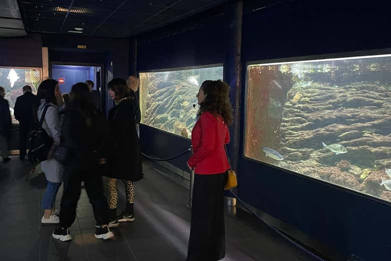 Visitando o Aquarium de Santa Pola