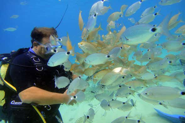 Bautismo de buceo en Mallorca