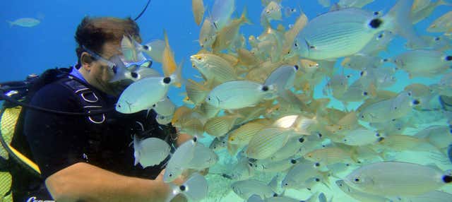 Mallorca Beginner's Diving Lesson