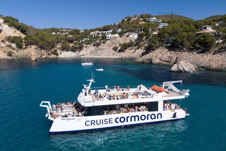 Admire the coastline