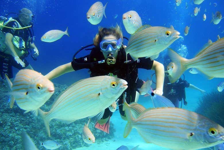 Desfrutando da fauna das Baleares