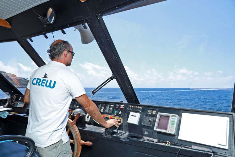Captain at the wheel