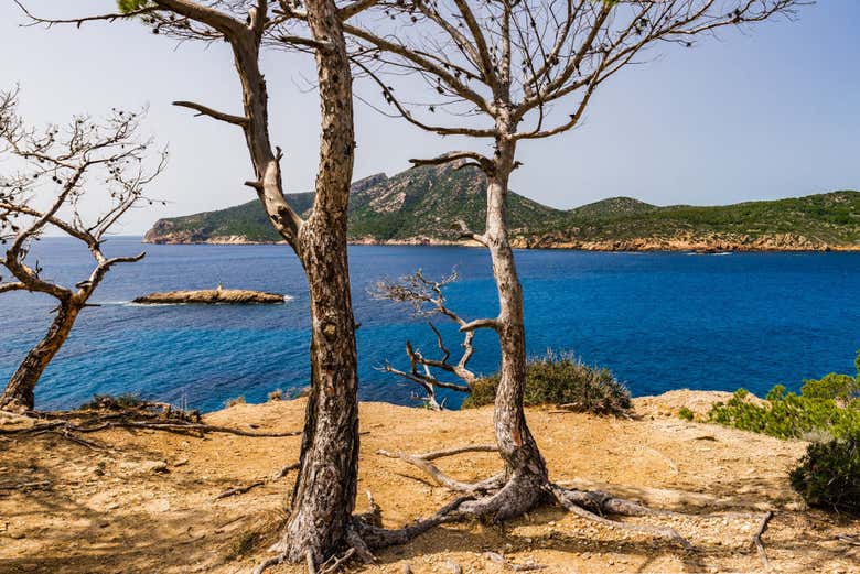 Costas da ilha Dragonera