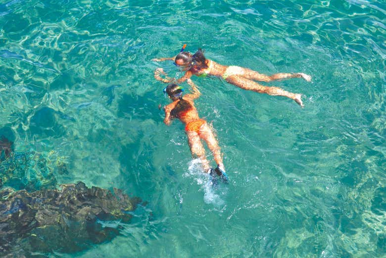 Looking for fish in the sea