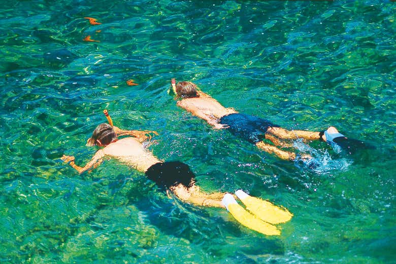 Snorkeling au sud de Majorque