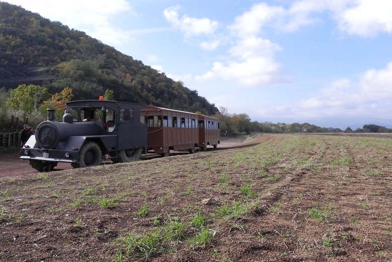 Paseando en el trenecito
