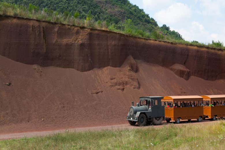 Paseando en el trenecito