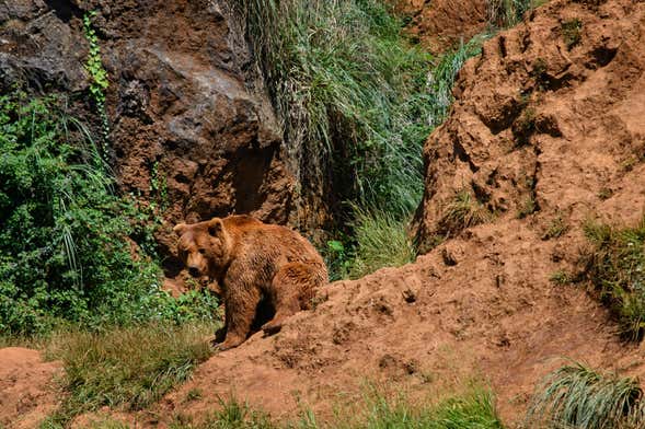 Excursão a Cabárceno