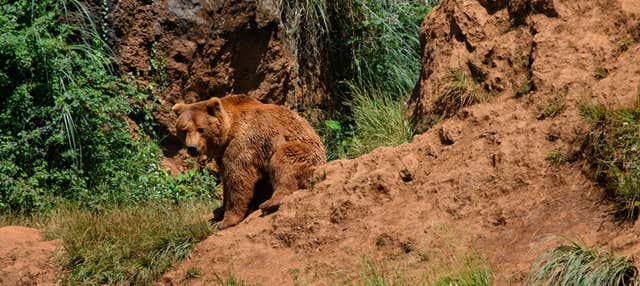 Excursión a Cabárceno