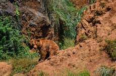 Excursión a Cabárceno