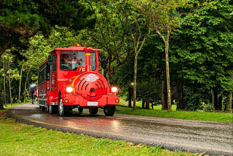 Vous pourrez monter à bord du train touristique