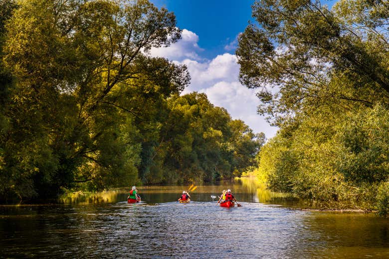 Canoas descendiendo el río