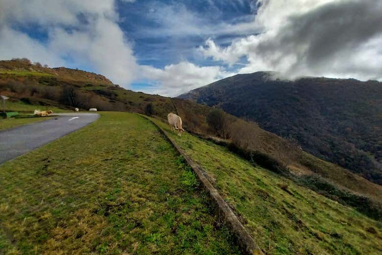 Paisagens da Cantábria