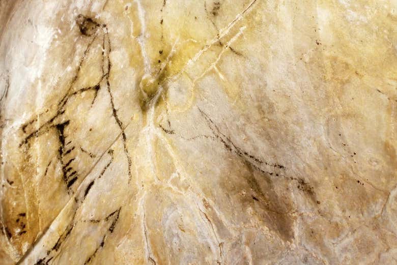 See impressive cave art