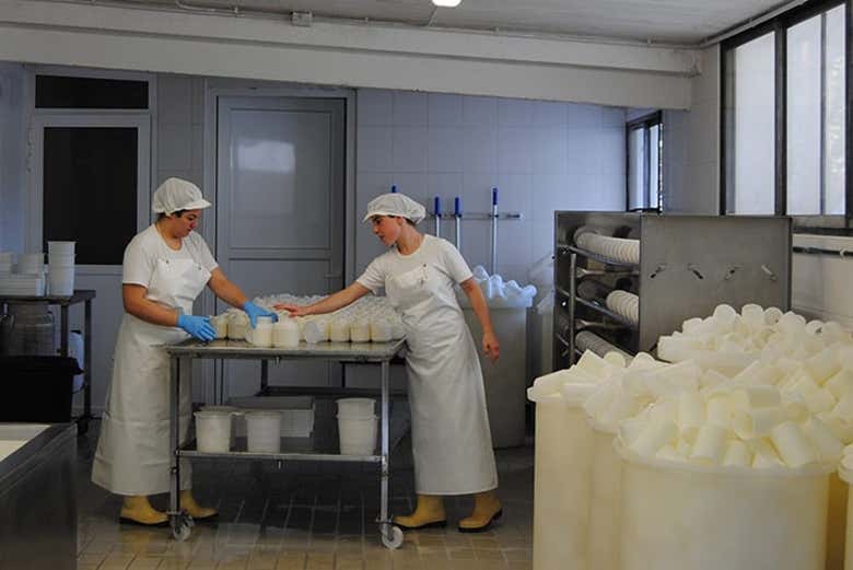 Trabajando en una quesería