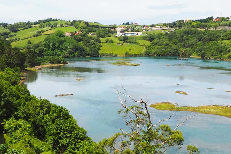 Ría de San Vicente