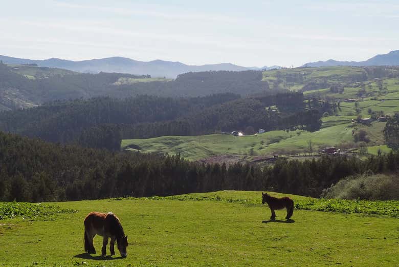 Paisajes de Cantabria