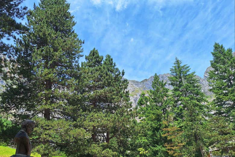 Immerse yourself in nature