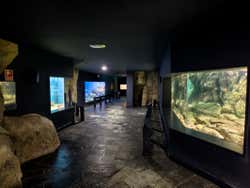 Recorriendo el museo