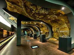 Exposiciones del museo
