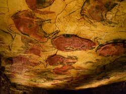 Pinturas de la cueva