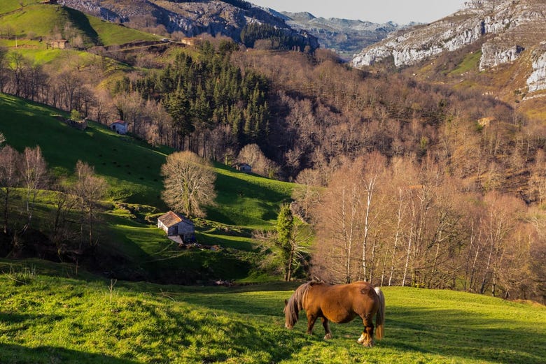 Valles Pasiegos in Cantabria