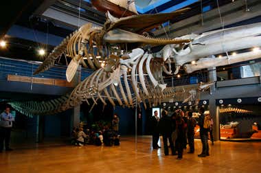 Museo Marítimo del Cantábrico