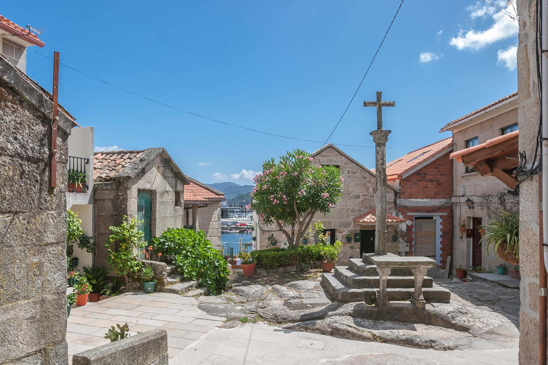 Excursión a las Rías Baixas + Visita a una bodega