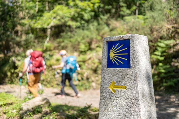 Free tour del peregrino: ¡Últimos kilómetros del Camino de Santiago!