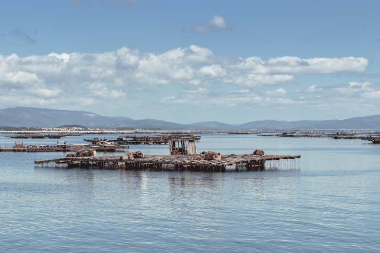 Descobrindo as bateas das Rias Baixas