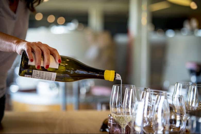 ¿Listos para brindar?