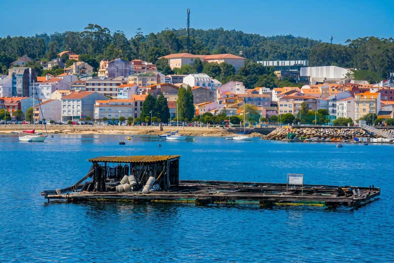 Rías Baixas Bateas