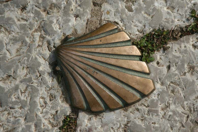 Conchiglia del pellegrino