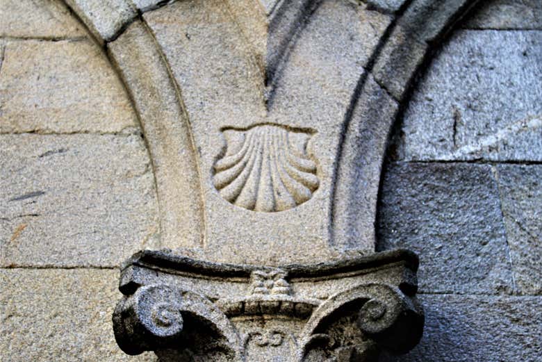 Concha de vieira