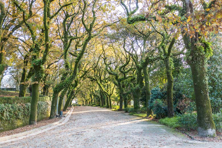 Stroll around the Parque de las Alameda