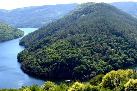 Enjoy a boatride down the River Sil with breathtaking views