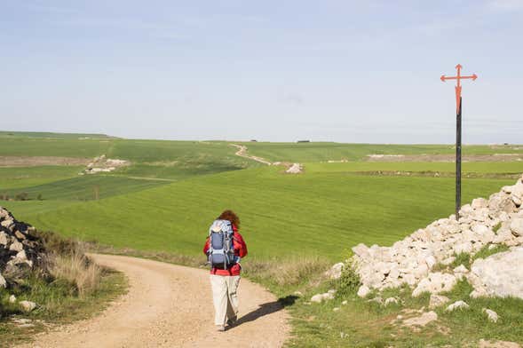 Tour del peregrino ¡Últimos kilómetros del Camino de Santiago!