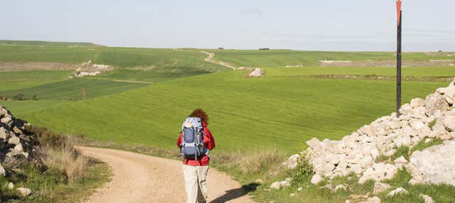 Tour del peregrino ¡Últimos kilómetros del Camino de Santiago!