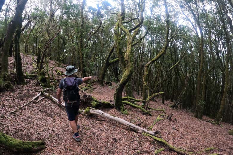 Discover Teno Rural Park