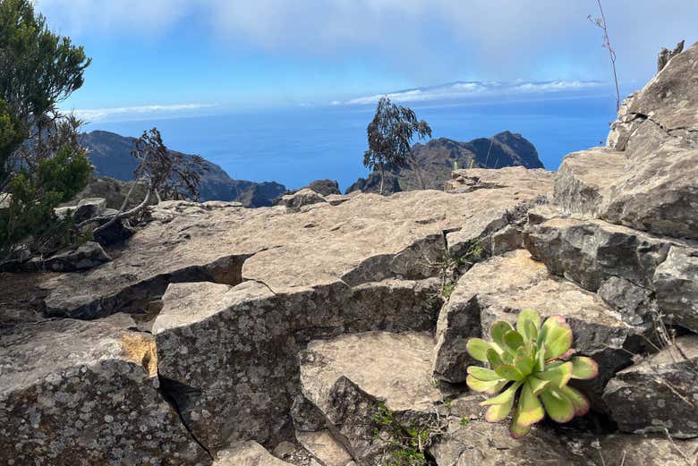 The views will amaze you!