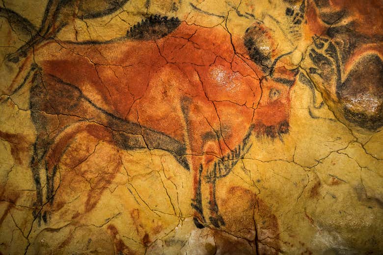 Visita guiada por la Neocueva