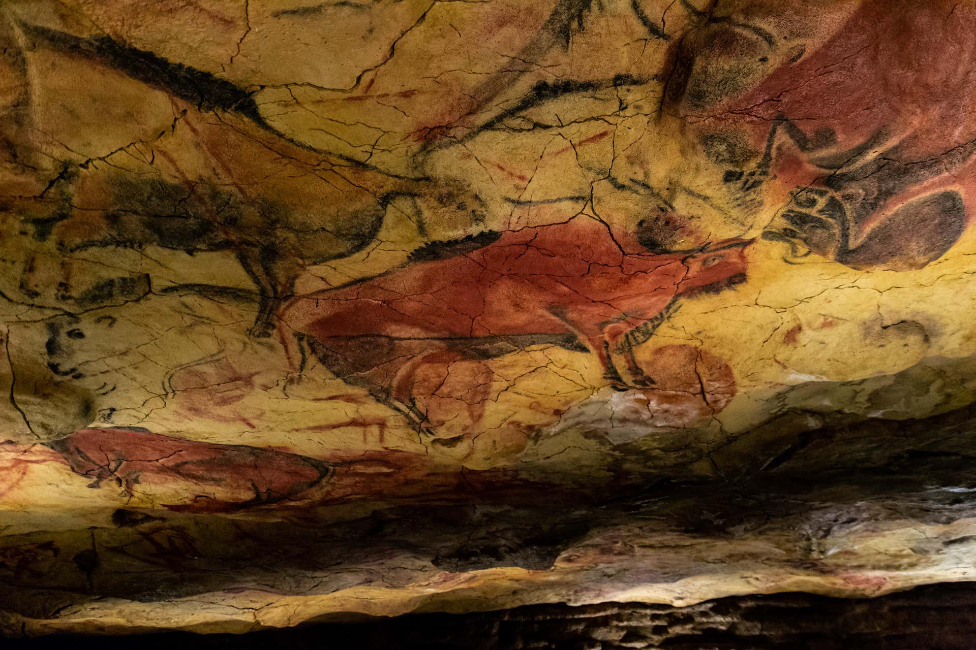 Visita guiada por la Neocueva y Museo de Altamira