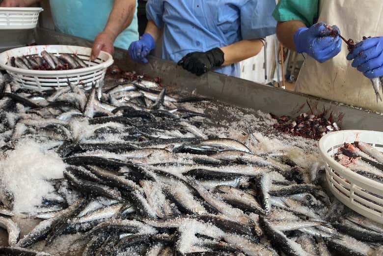 Anchoas en salazón