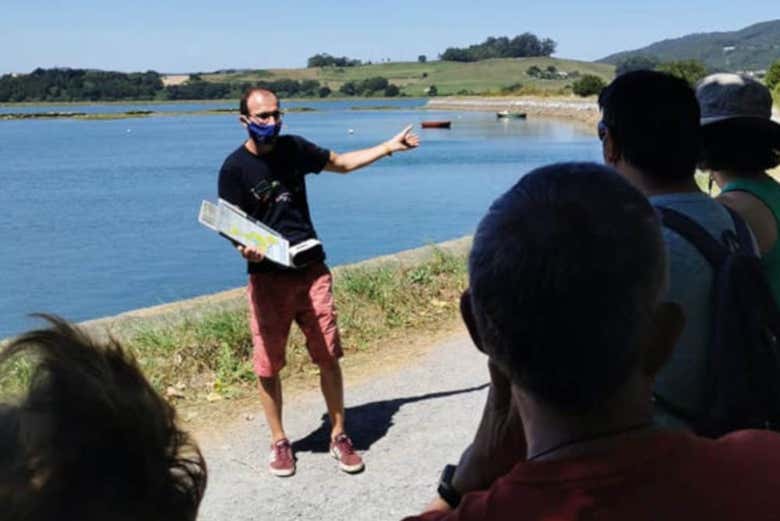 Learn about Santoña's marshlands