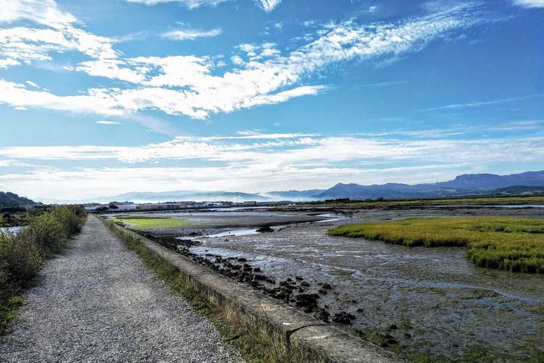 Stroll along the marsh