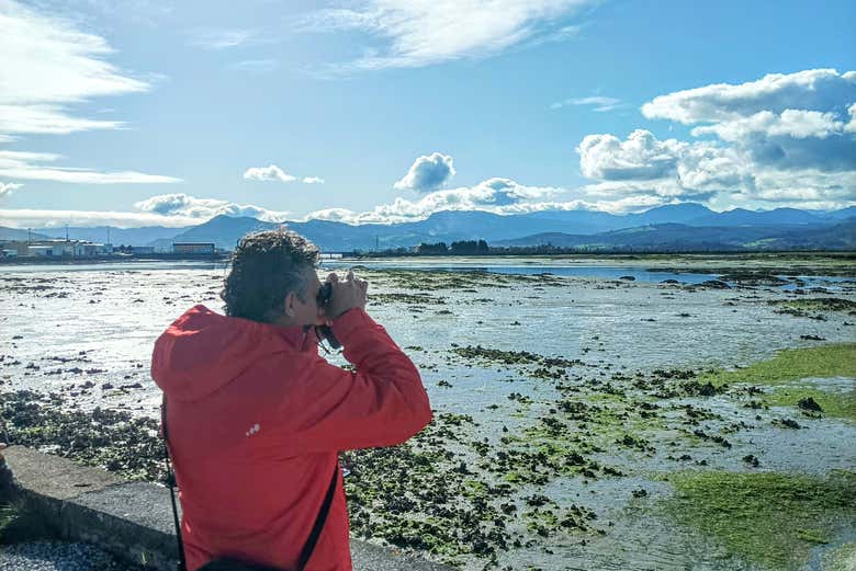 Avistando aves en la marismas con los prismáticos facilitados en