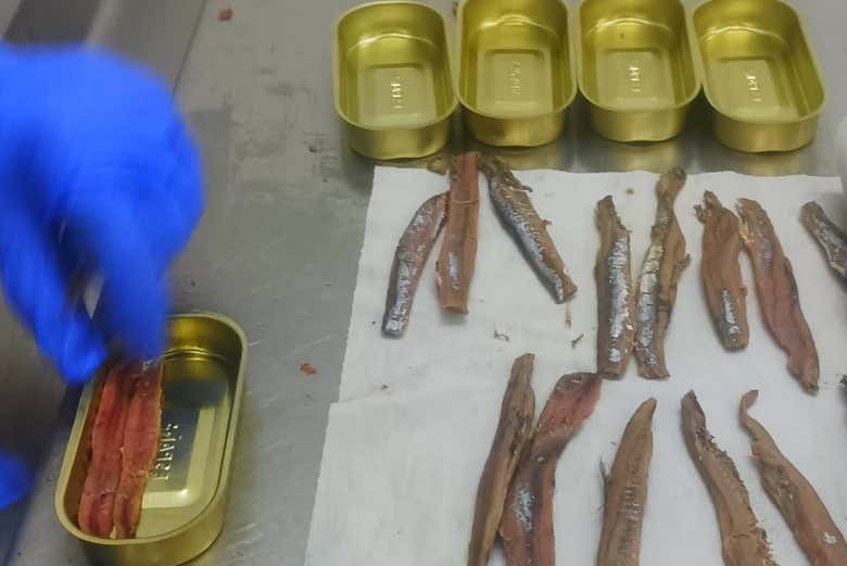 Preparando anchovas