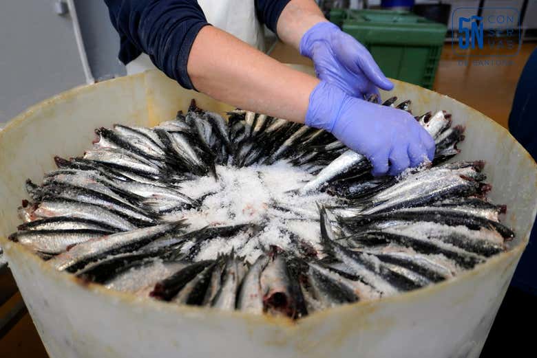 Barril repleto de anchoas