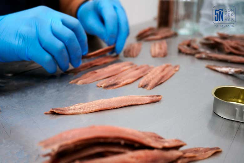 Limpiando las anchoas