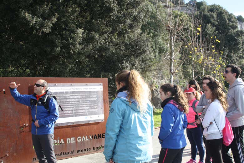 Listening to the guide's explanations